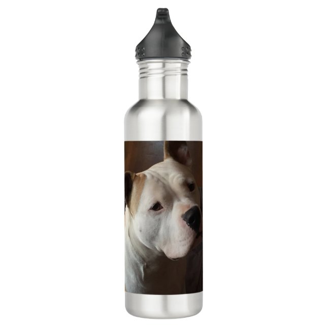 Best Friend Dog Pet Photo Personalised 710 Ml Water Bottle (Right)