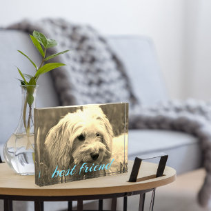 Best friend dog photo block