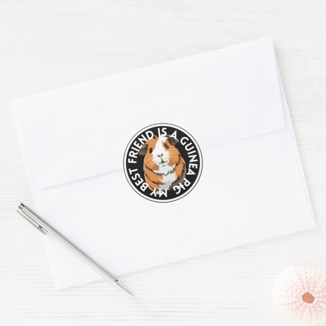 Best Friend Guinea Pig Classic Round Sticker (Envelope)
