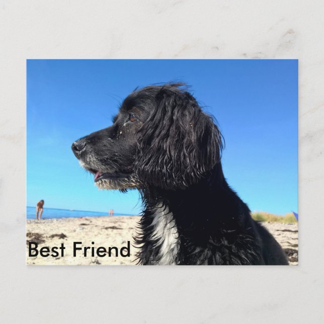 Best Friend Postcard (Front)
