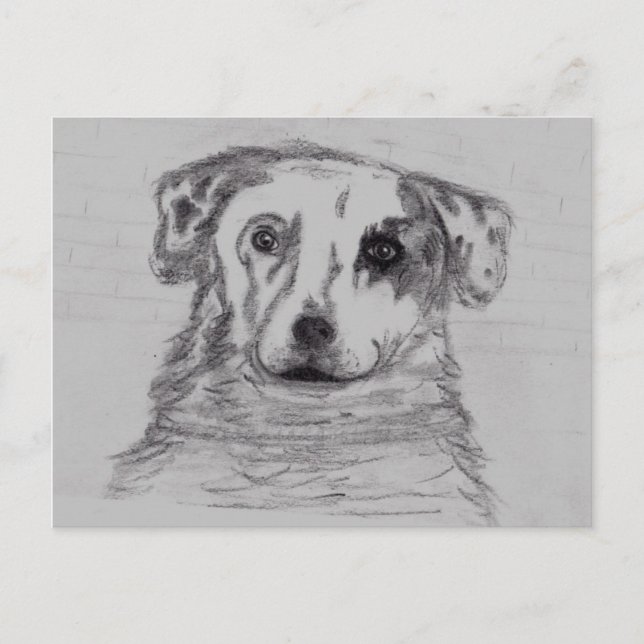 Best friend postcard (Front)