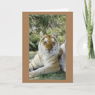 **BEST FRIEND** SERIOUS BIRTHDAY WISHES CARD