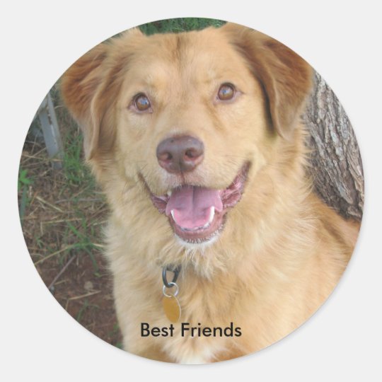 Best Friends2883 Classic Round Sticker