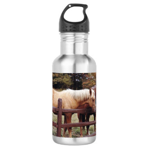 Best Friends Aluminium Water Bottle
