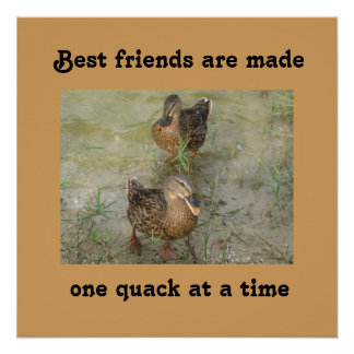 Best friends are made - 20 x 20 Poster