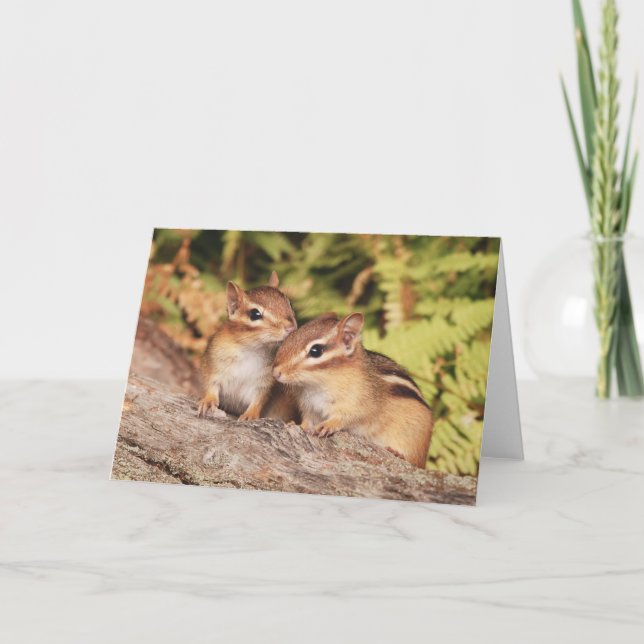 Best Friends Baby Chipmunks Card (Front)