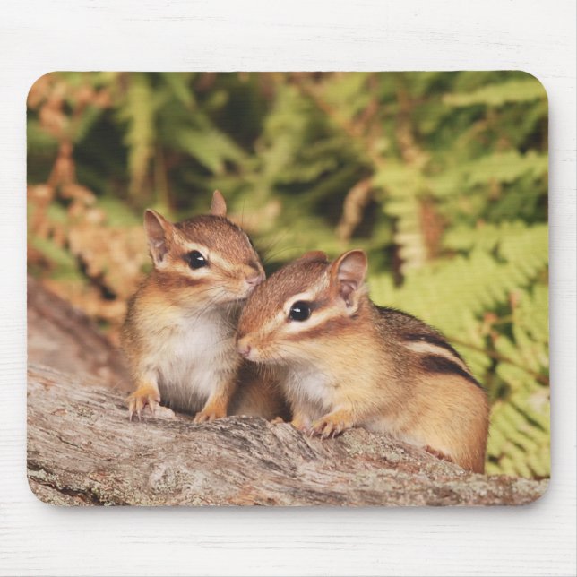 Best Friends Baby Chipmunks Mouse Mat (Front)