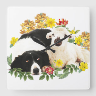 Best friends - Border Collie and little lamb Square Wall Clock
