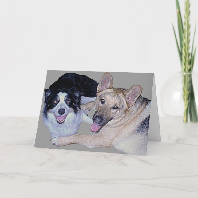 Best Friends Border Collie & German Shepherd Card (Front)