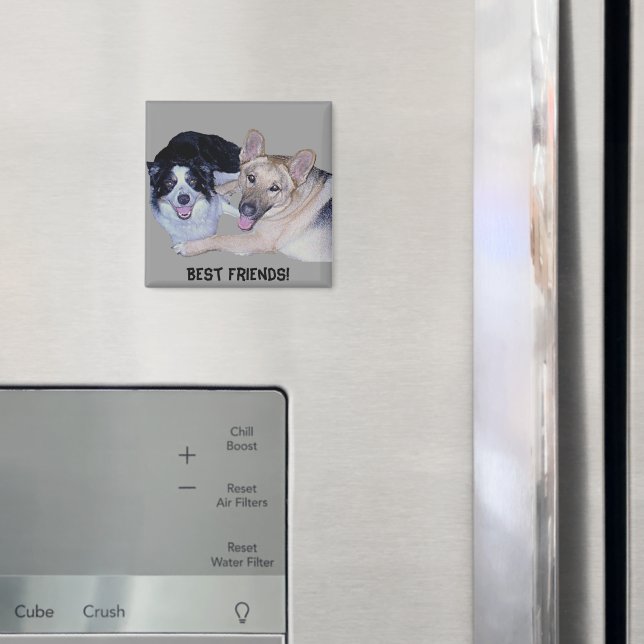 Best Friends Border Collie & German Shepherd Magnet (In Situ (Fridge))
