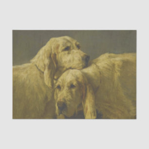 Best Friends by John Emms Tissue Paper