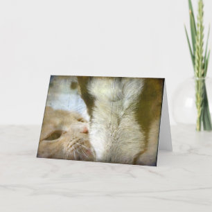 Best Friends Cat and Goat All Occasions  Card