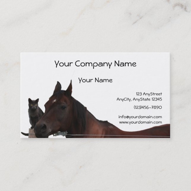 Best Friends Cat and Horse Cuddle Up Business Card (Front)