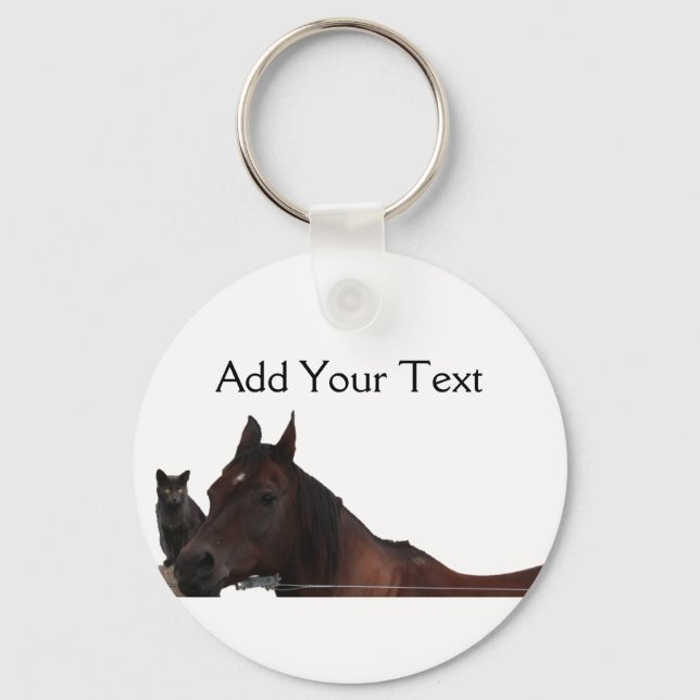 Best Friends Cat and Horse Cuddle Up Key Ring (Front)