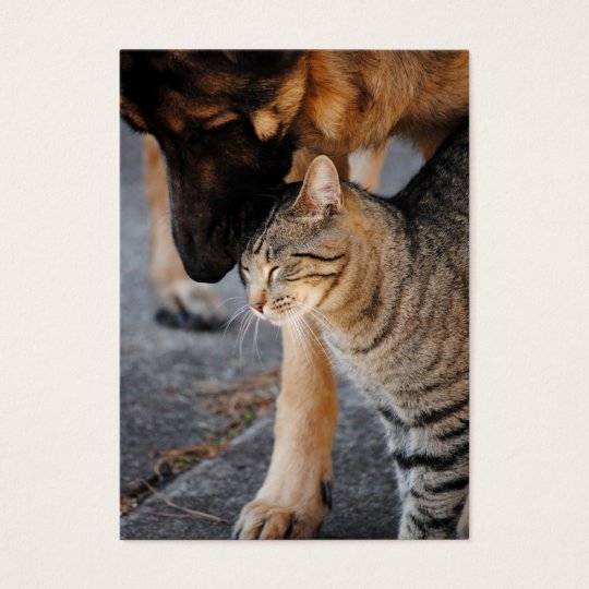 Best Friends- Cat & German Shepherd Business Cards