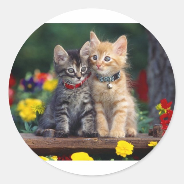 Best Friends Classic Round Sticker (Front)