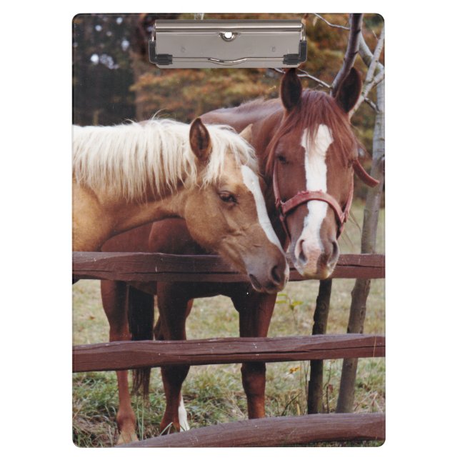 Best Friends Clipboard (Front)