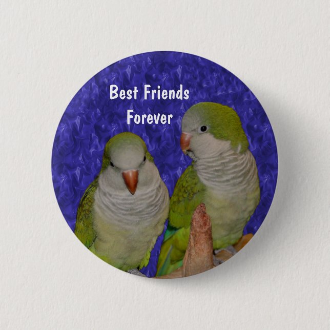 Best Friends Cute Birds Friendship Button (Front)