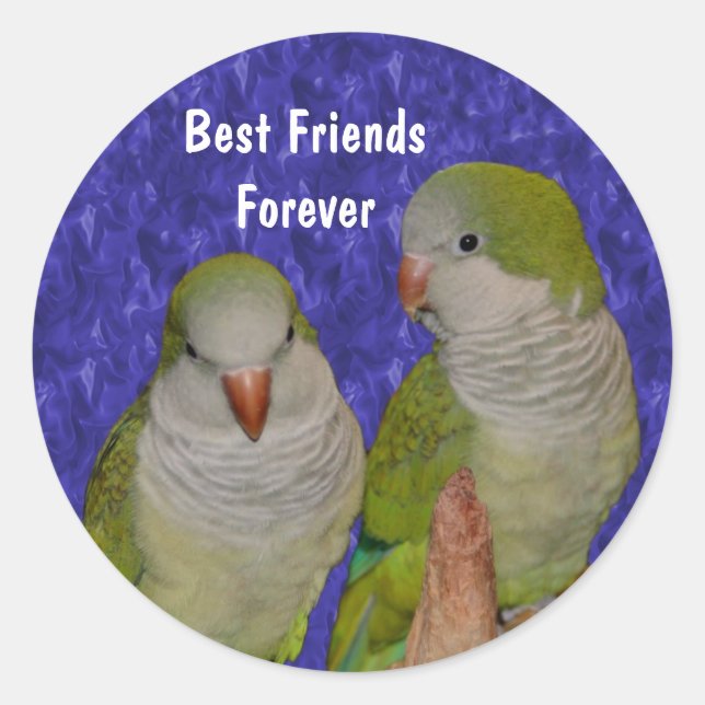 Best Friends Cute Birds Friendship  Classic Round Sticker (Front)