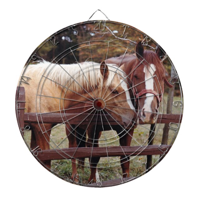 Best Friends Dartboard (Front)