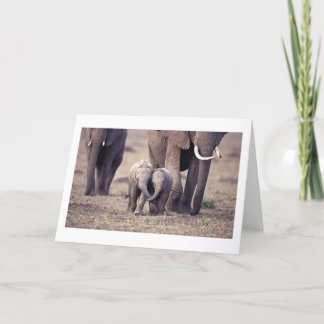 Best Friends Elephant Card