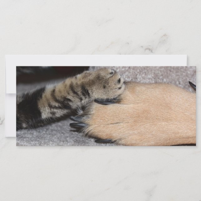 Best Friends Forever by Shirley Taylor (Front)