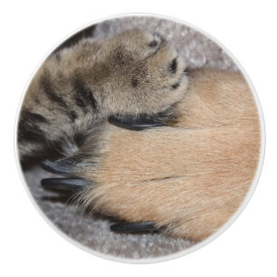 Best Friends Forever by Shirley Taylor Ceramic Knob