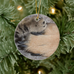 Best Friends Forever by Shirley Taylor Ceramic Tree Decoration