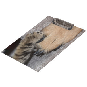 Best Friends Forever by Shirley Taylor Clipboard