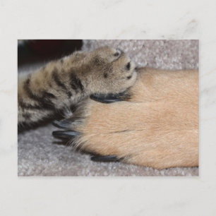 Best Friends Forever by Shirley Taylor Postcard