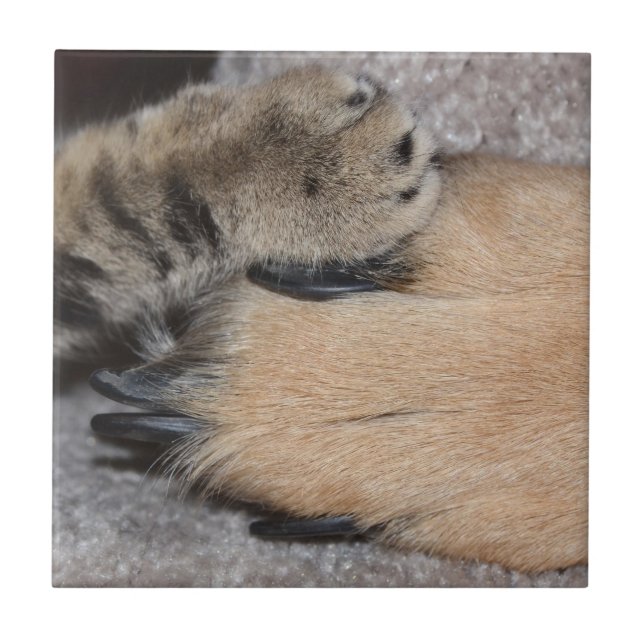 Best Friends Forever by Shirley Taylor Tile (Front)