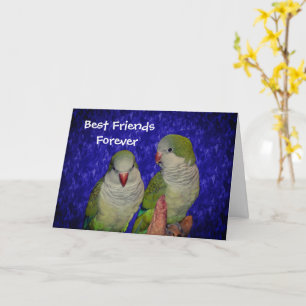 Best Friends Forever Cute Birds Friendship Card