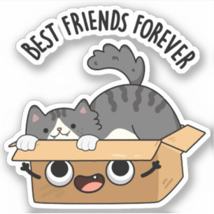 Best Friends Forever Funny Cat And Box Pun