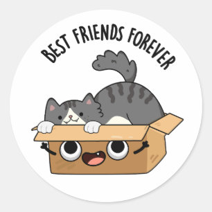 Best Friends Forever Funny Cat And Box Pun  Classic Round Sticker