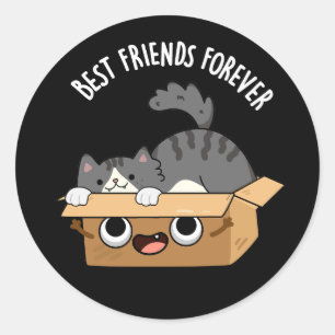 Best Friends Forever Funny Cat And Box Pun Dark BG Classic Round Sticker