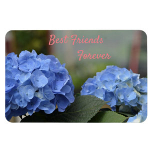 Best Friends Forever Hydrangeas Magnet