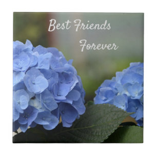 Best Friends Forever Hydrangeas Tile