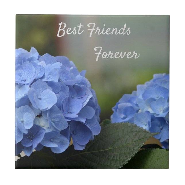 Best Friends Forever Hydrangeas Tile (Front)