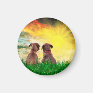 Best friends forever magnet