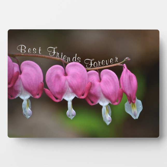 Best Friends Forever Plaque (Front)