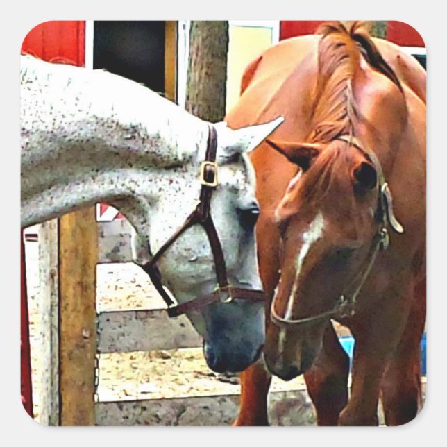 Best Friends Horse Sticker (Front)