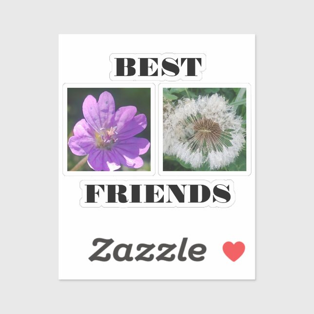 Best Friends Image Template (Sheet)