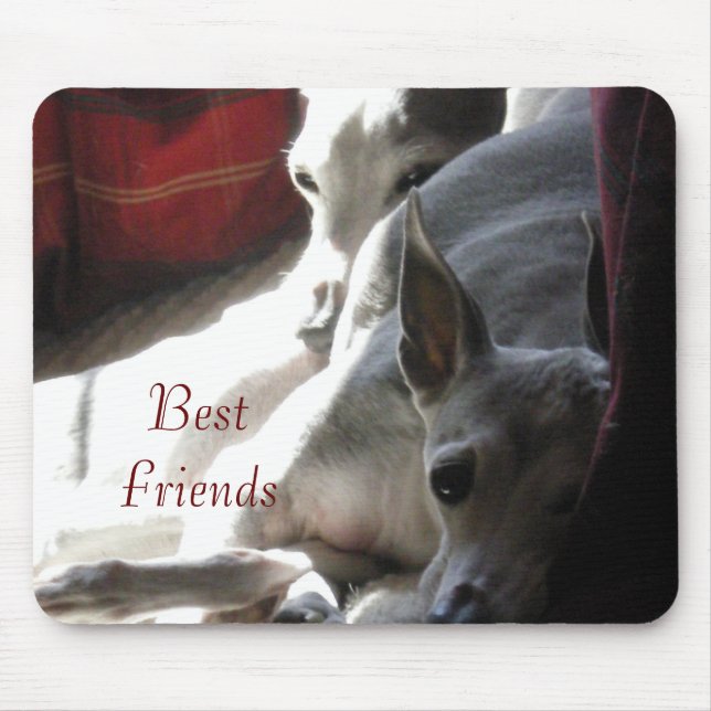 "Best Friends" italian greyhound photo Mouse Mat (Front)