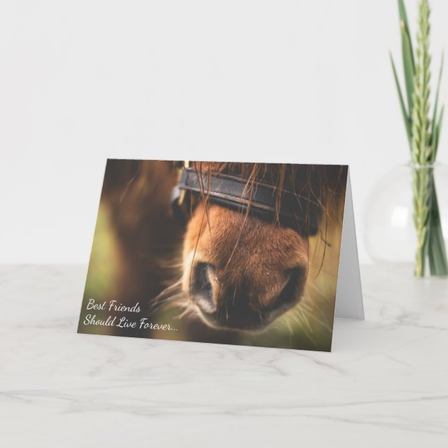 Best Friends Loss of Pony Custom Horse Sympathy Card (Front)