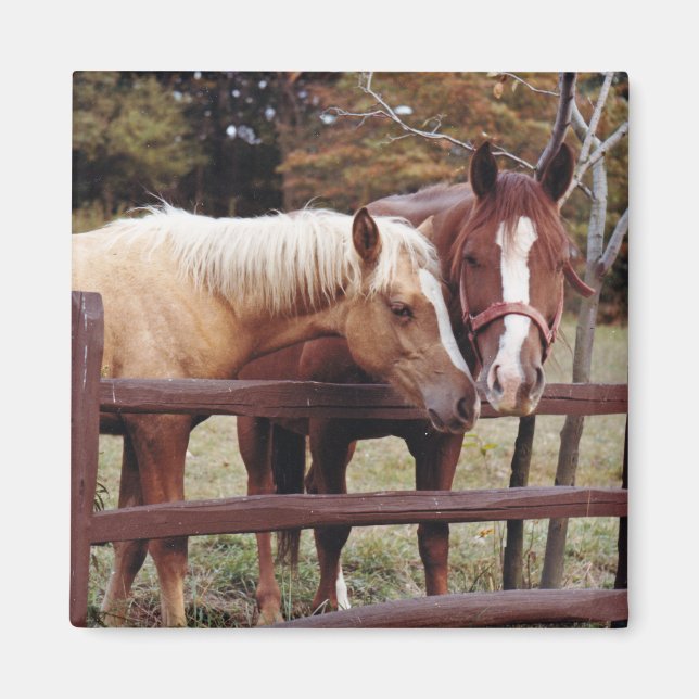 Best Friends Magnet (Front)