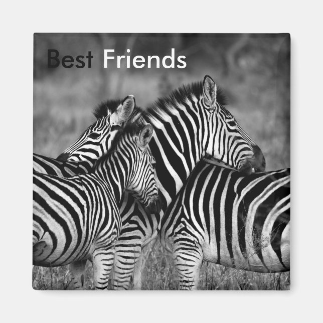 Best Friends Magnet (Front)