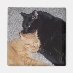 Best Friends Magnet