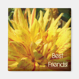 Best Friends! magnet Yellow Red Dahlia Flower