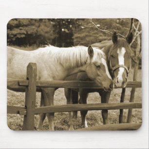 Best Friends Mouse Mat