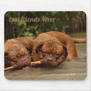 Best Friends Mouse Mat